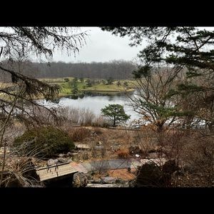 Meet your Posher, Molly